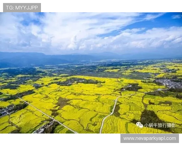 开云体育乐鱼平台体育赛事数据分析与投注策略实用技巧